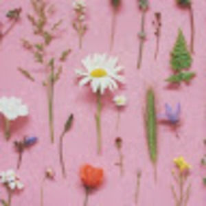 Meet your Posher, Elle